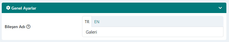 Galeri Bileşeni Genel Ayarları