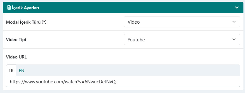 Youtube & Vimeo Videoları Modal İçeriği