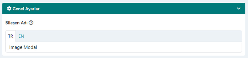 Modal Pencere Bileşeni Genel Ayarları