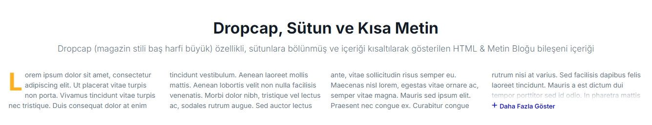 HTML & Metin Bloğu Dropcap ve Sütun Önizleme